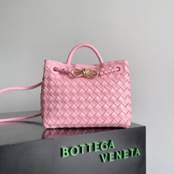 Bottega Veneta Small Andiamo