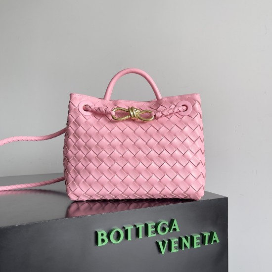 Bottega Veneta Small Andiamo