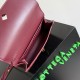 Bottega Veneta Andiamo Pouch