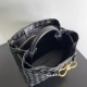 Bottega Veneta Small Andiamo