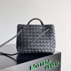 Bottega Veneta Small Andiamo