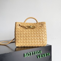 Bottega Veneta Small Andiamo