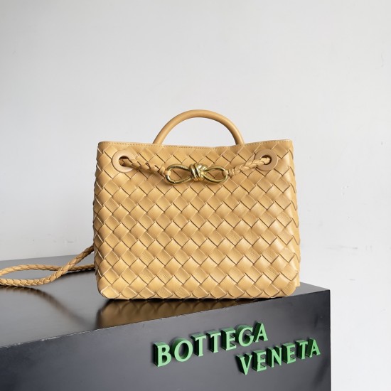 Bottega Veneta Small Andiamo