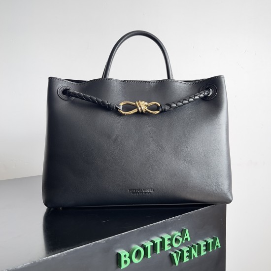 Bottega Veneta Medium Andiamo
