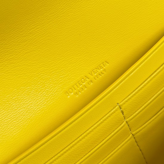 Bottega Veneta Andiamo Clutch