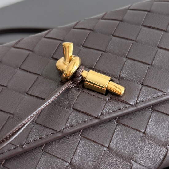 Bottega Veneta Andiamo Pouch