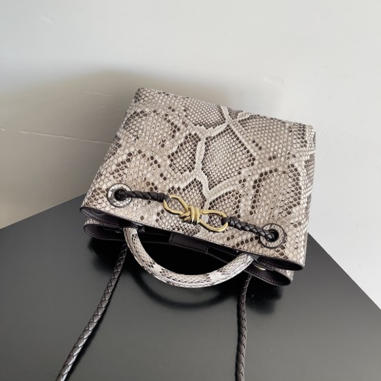 Bottega Veneta Small Andiamo
