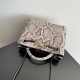 Bottega Veneta Small Andiamo