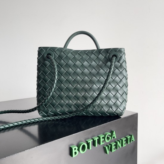 Bottega Veneta Small Andiamo