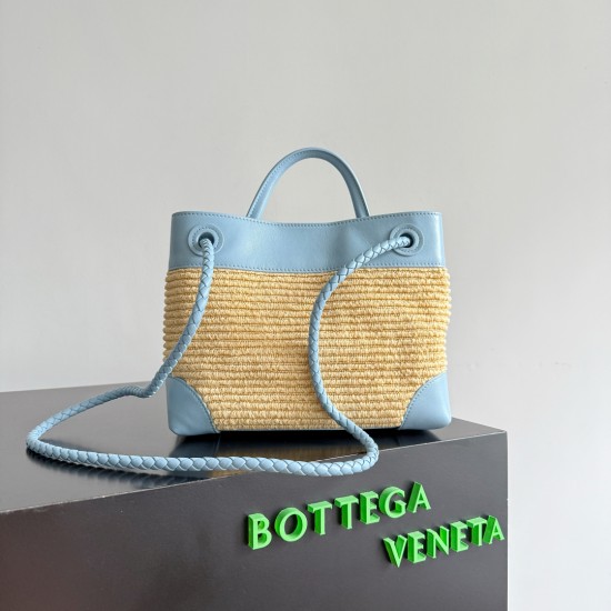 Bottega Veneta Small Andiamo