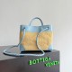 Bottega Veneta Small Andiamo