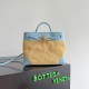 Bottega Veneta Small Andiamo