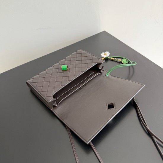 BottegaVeneta Andiamo Daisy Pouch