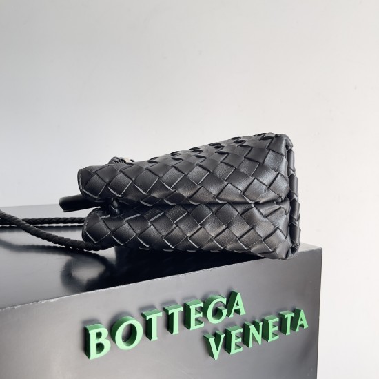 Bottega Veneta Small Andiamo