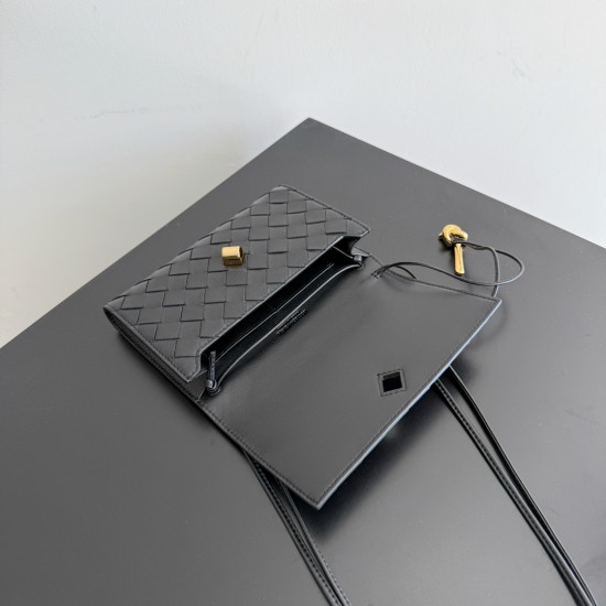 Bottega Veneta Andiamo Pouch