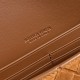 Bottega Veneta Andiamo Clutch