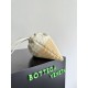 Bottega Veneta Dustbag