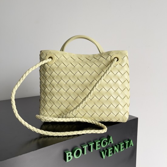 Bottega Veneta Small Andiamo