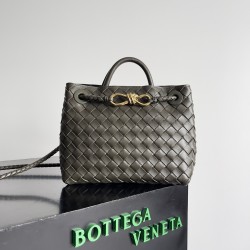 Bottega Veneta Small Andiamo