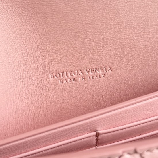 Bottega Veneta Andiamo Clutch