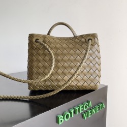 Bottega Veneta Small Andiamo