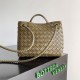 Bottega Veneta Small Andiamo
