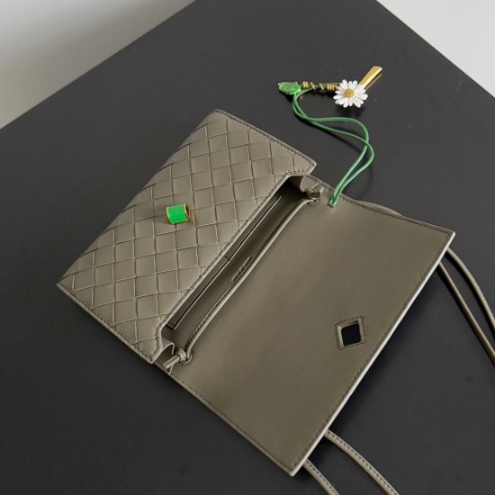 BottegaVeneta Andiamo Daisy Pouch