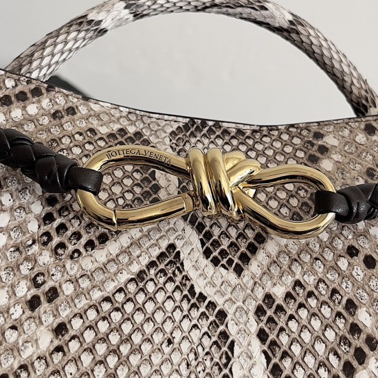 Bottega Veneta Small Andiamo