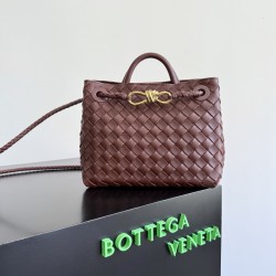 Bottega Veneta Small Andiamo