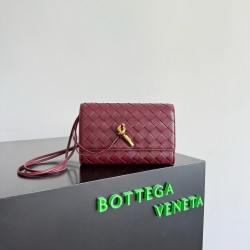 Bottega Veneta Andiamo Pouch Bottega Veneta Andiamo Pouch