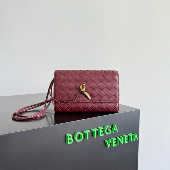 Bottega Veneta Andiamo Pouch