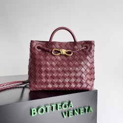 Bottega Veneta Small Andiamo