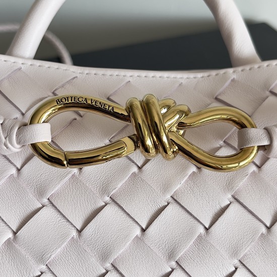 Bottega Veneta Small Andiamo