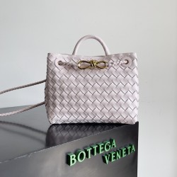 Bottega Veneta Small Andiamo